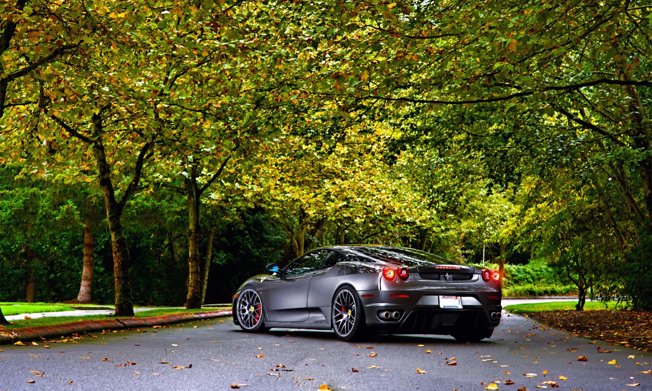 autumn, leaf, ferrari, tuning, 430, asphalt, trees, wheels, green, silver