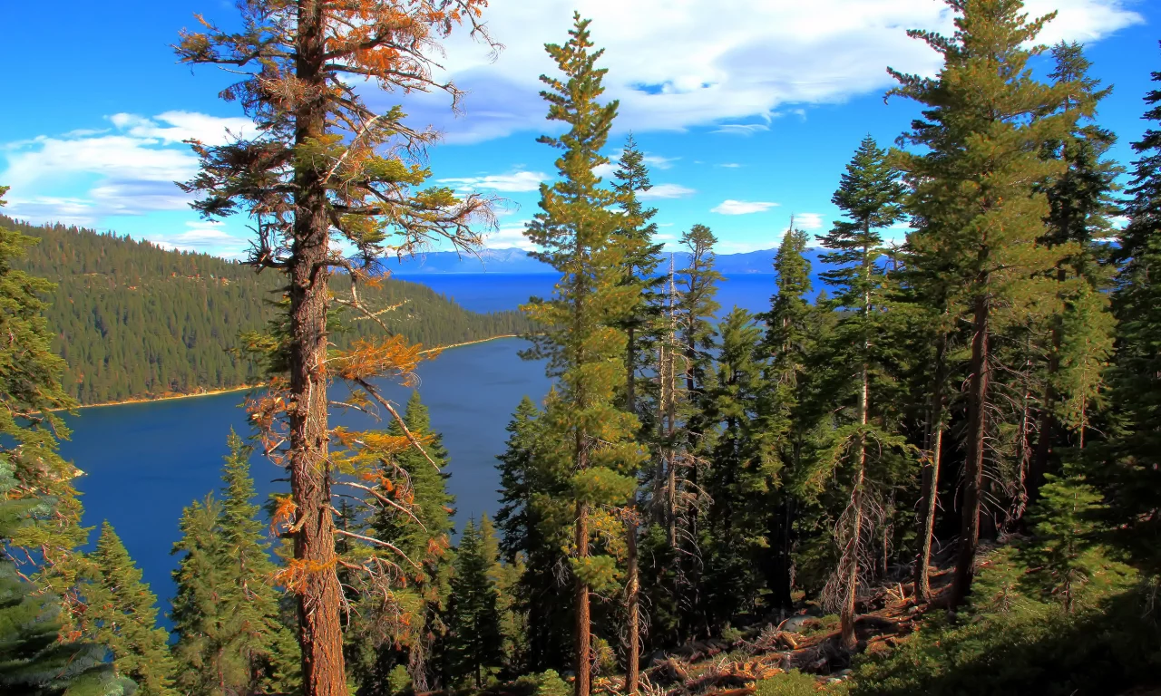 california, лес, lake tahoe, вода, озеро