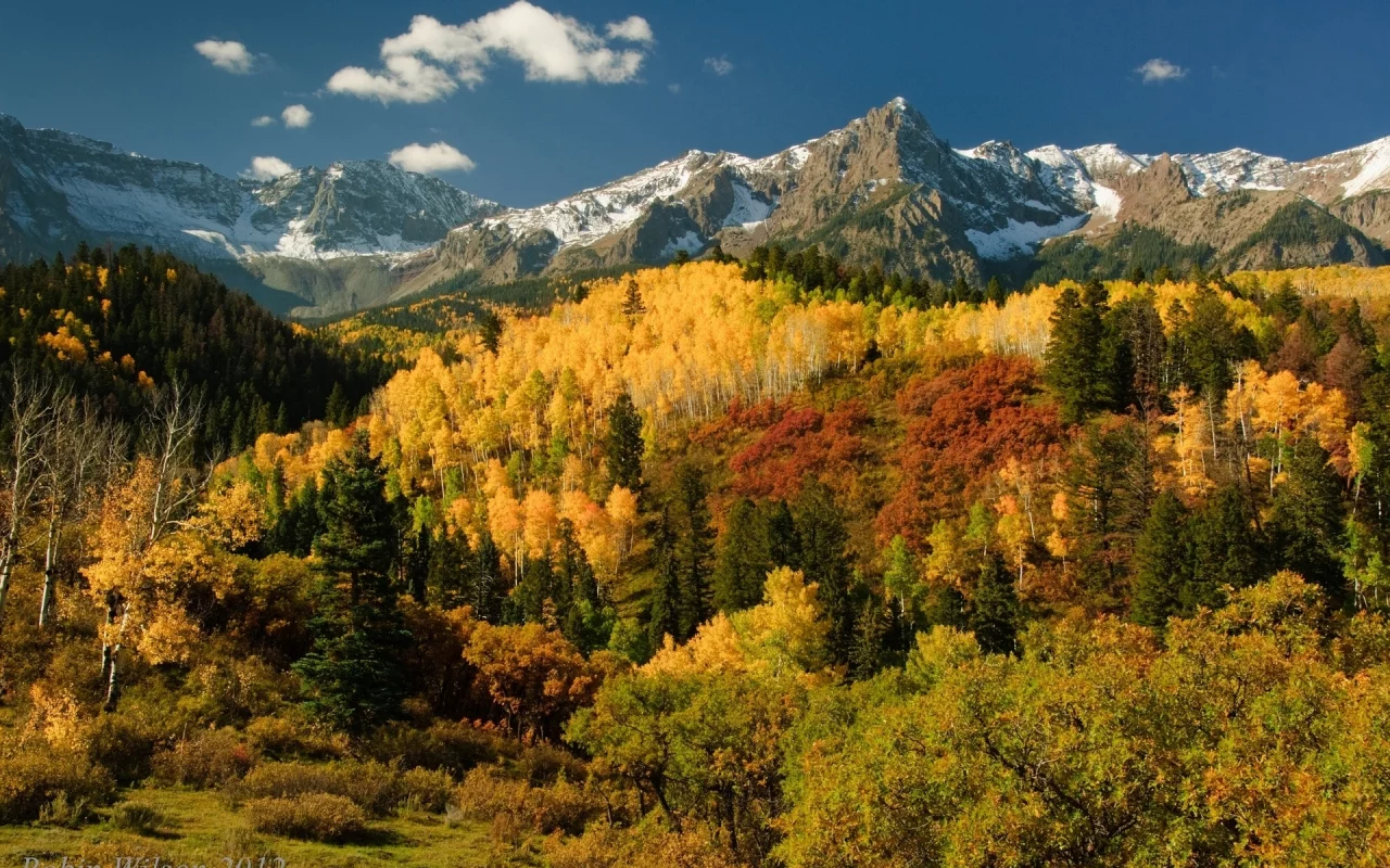 деревья, осень, san juan mountains, лес, горы