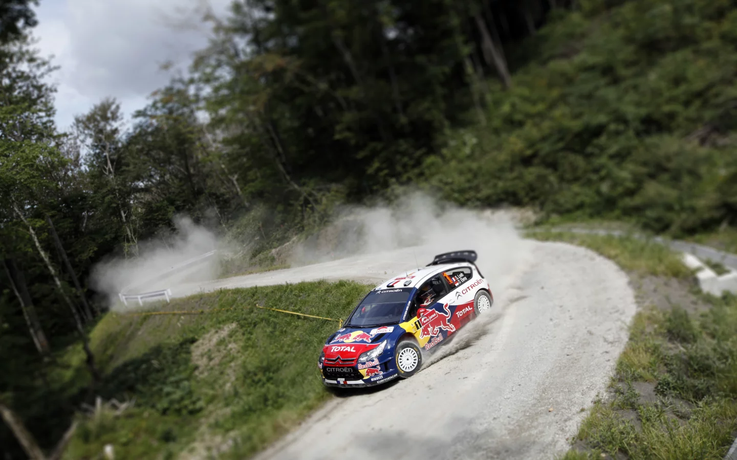 wrc, передок, rally, citroen, sebastien ogier, лес, tilt- shift, размытие, c4