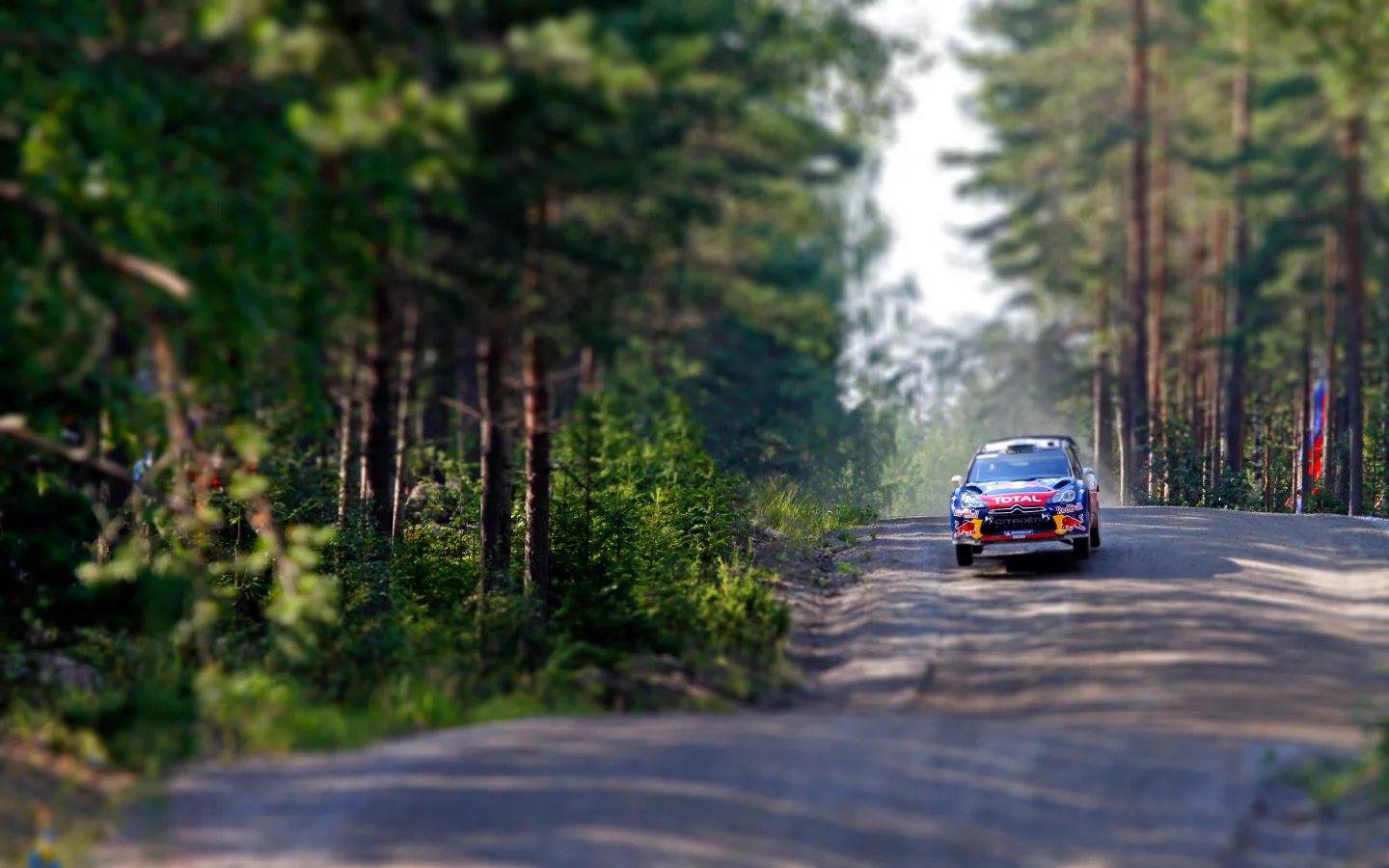 летит, ds3, гонка, wrc, лес, скорость, tilt- shift, rally, citroen