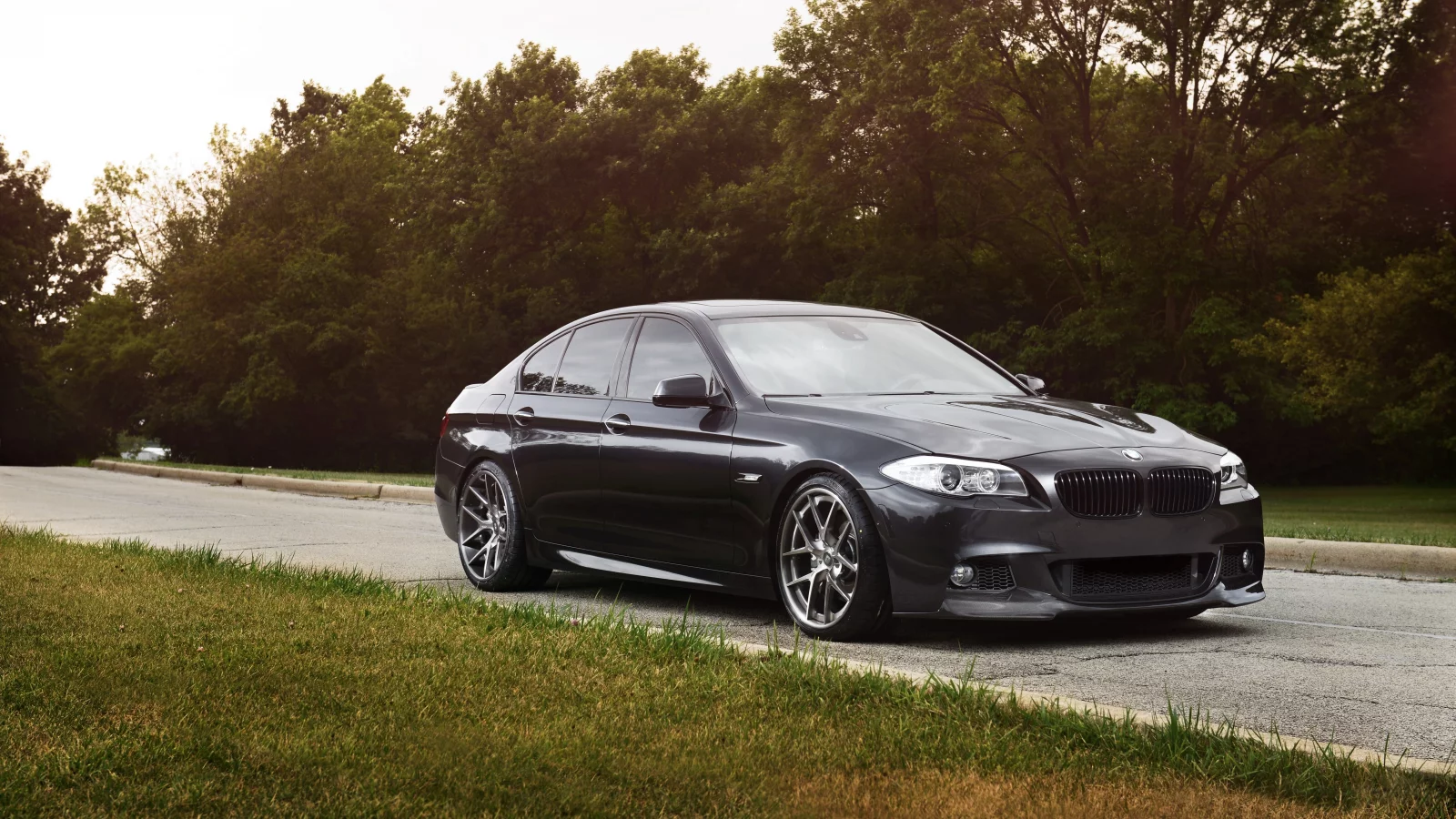 деревья, чёрный, дорога, grass, f10, 550i, black, bmw, бмв, трава, trees