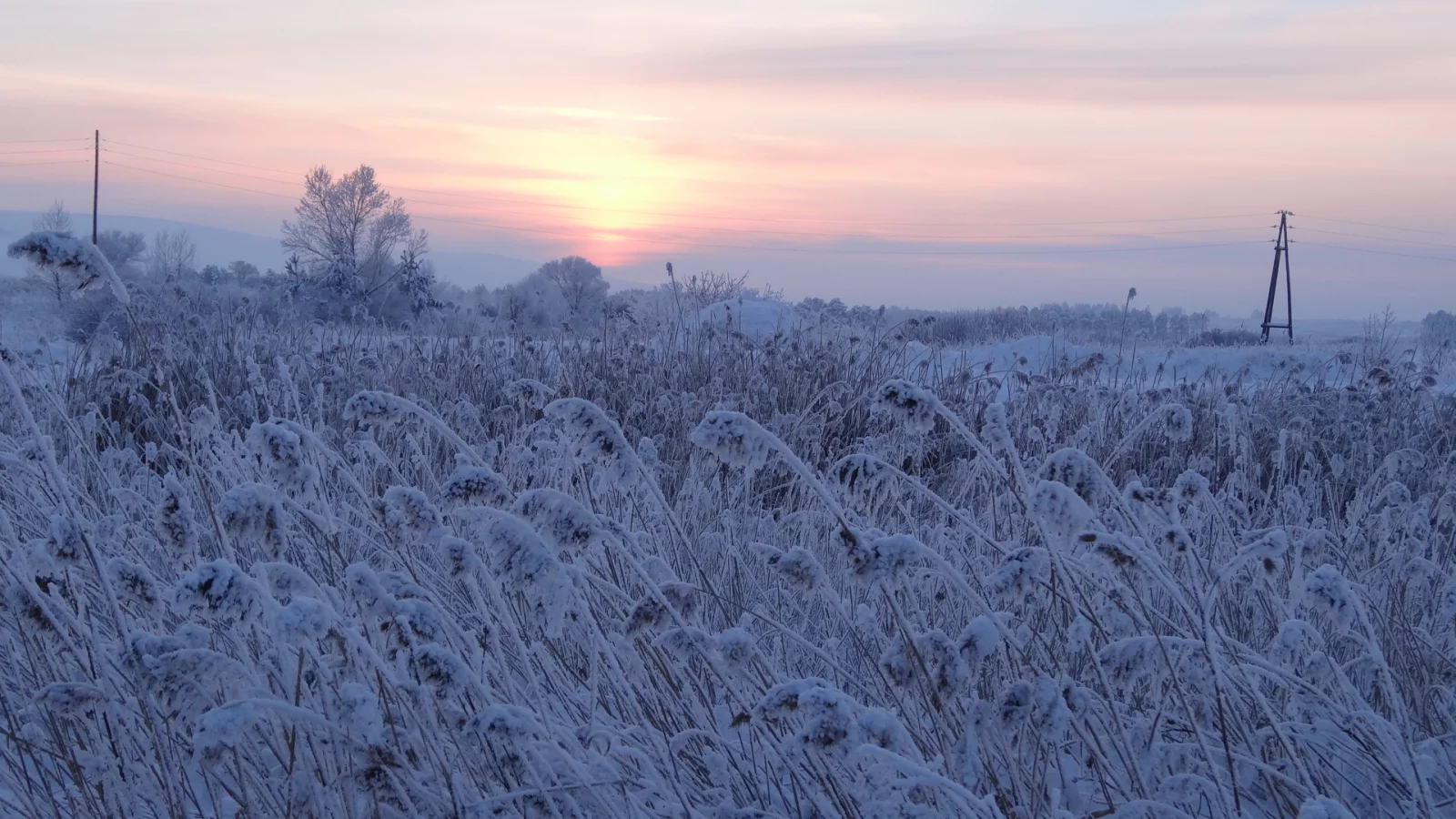 пейзаж, зима, снег, вечер, сумерки, трава, деревья