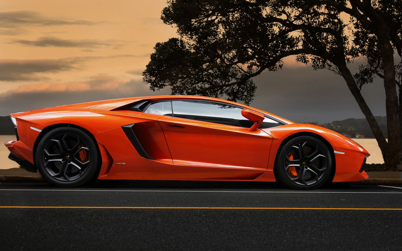 sky, supercar, aventador, tree, orange, lamborghini, ламборгини, lp700-4