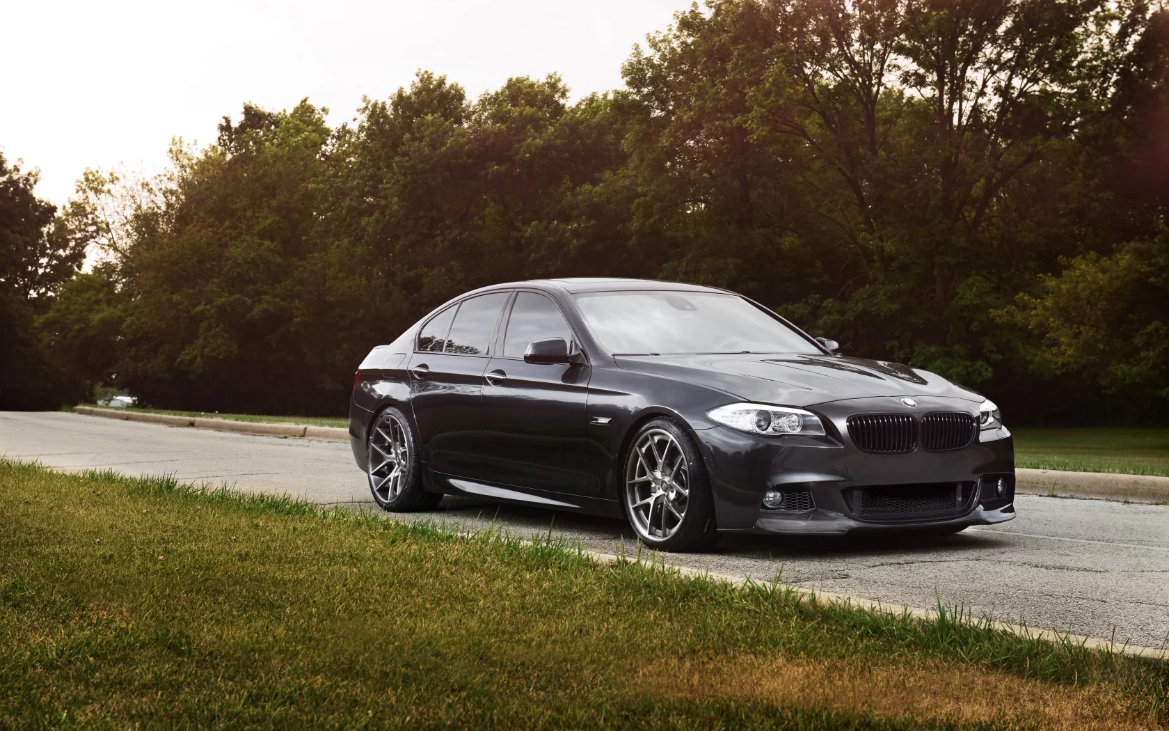 деревья, чёрный, дорога, grass, f10, 550i, black, bmw, бмв, трава, trees