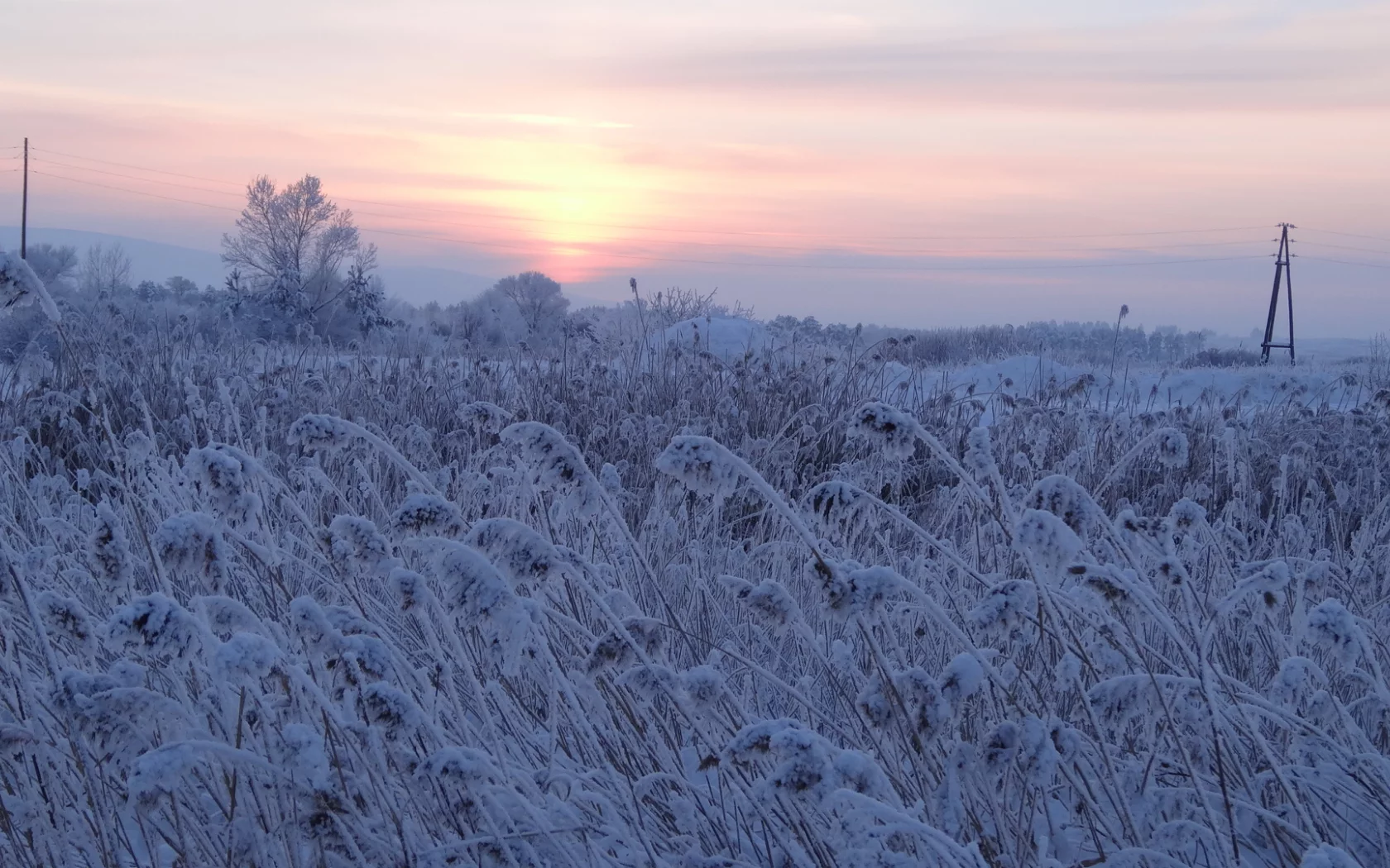пейзаж, зима, снег, вечер, сумерки, трава, деревья
