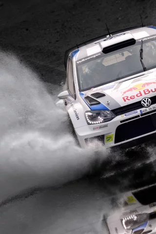 машина, авто, red bull, ралли, rally, polo, volkswagen, белый, спорт, wrc