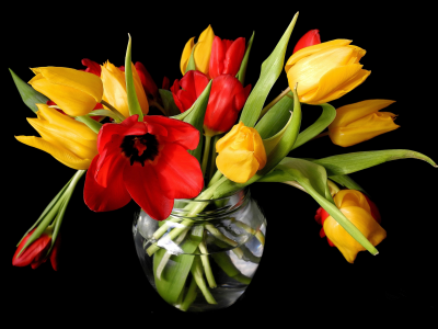 ваза, желтые, тюльпаны, цветы, бутоны, весна, красные