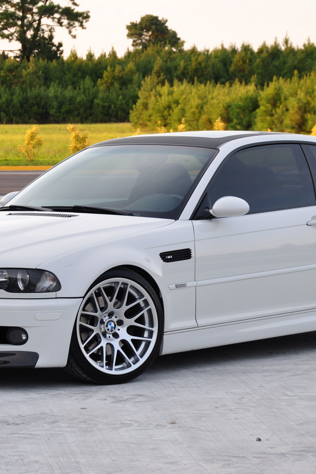 BMW e46 White