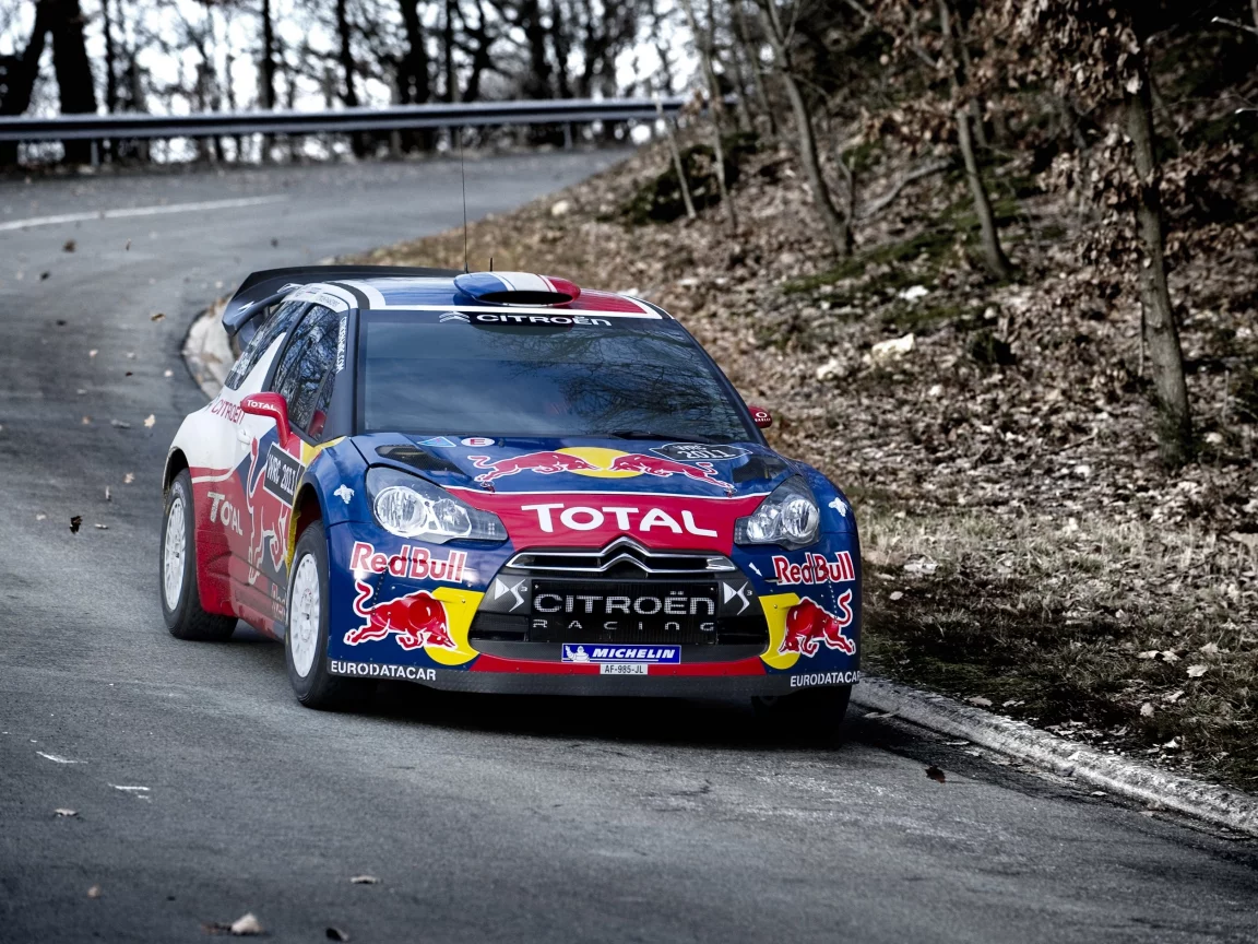 дорога, rally, осень, ралли, ситроен, red bull, citroen, авто, ds3, wrc