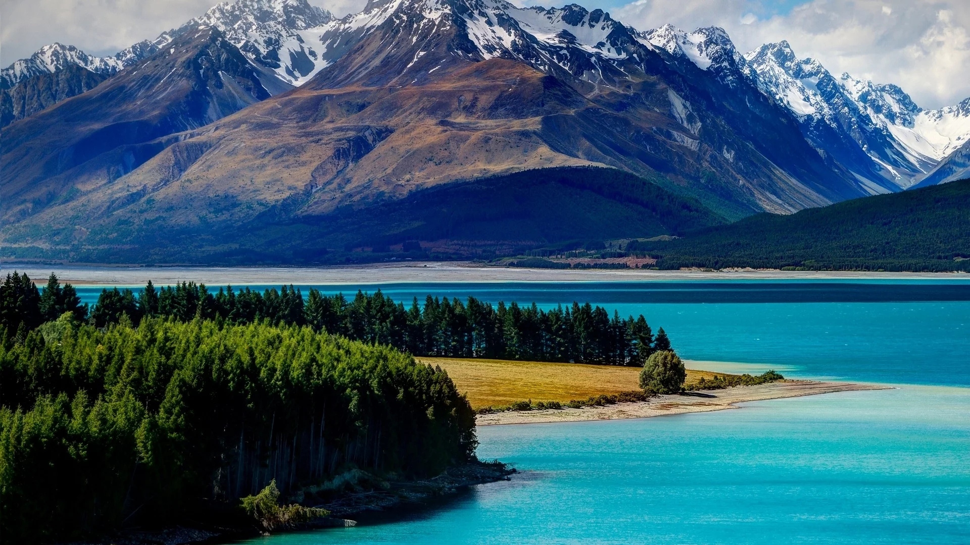горы, озеро, lake tekapo, лес, new zealand, текапо, новая зеландия