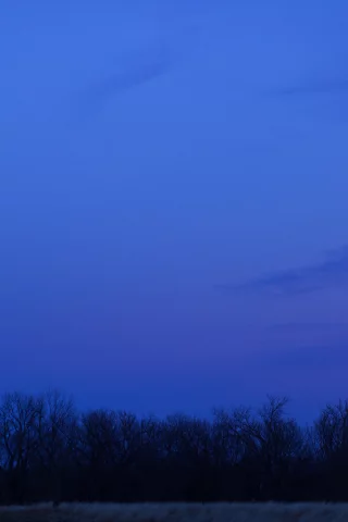поле, ночь, луна, небо, деревья, облака, синее