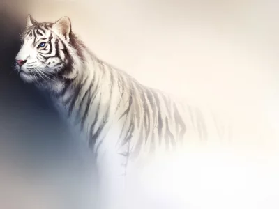 фон, свет, тигр, арт, дикая кошка, белый, хищник