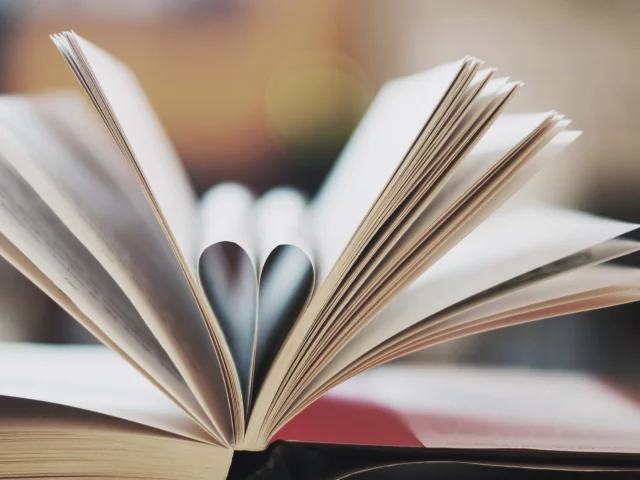 макро, книга, сердце