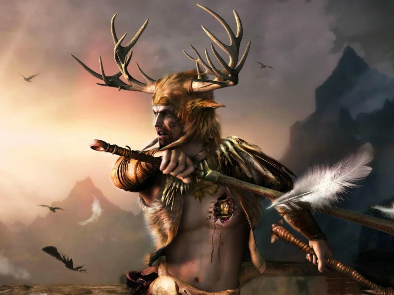 мужчина, the elder scrolls, оружие, шлем, skyrim, рога, броня