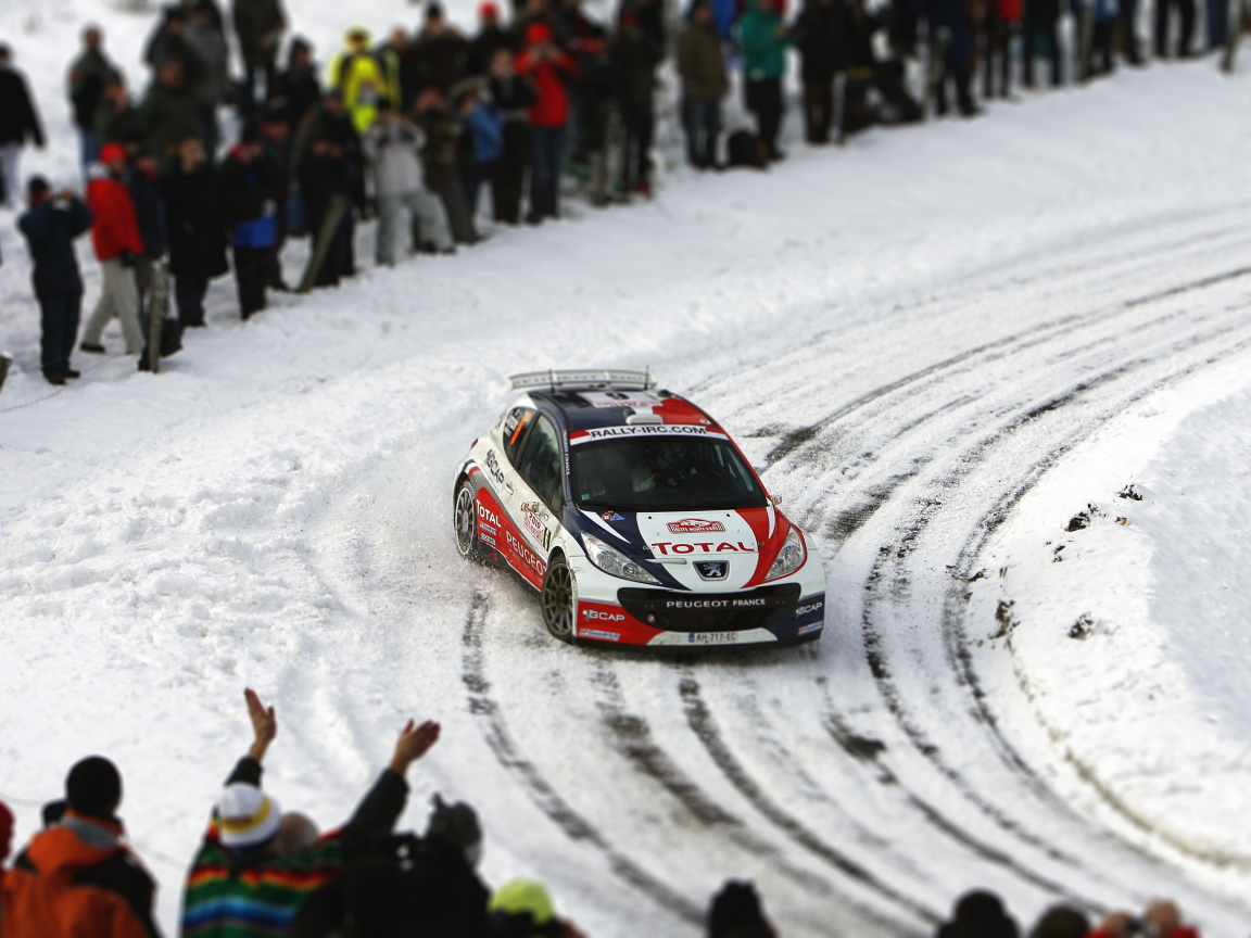 Rally Snow Peugeot