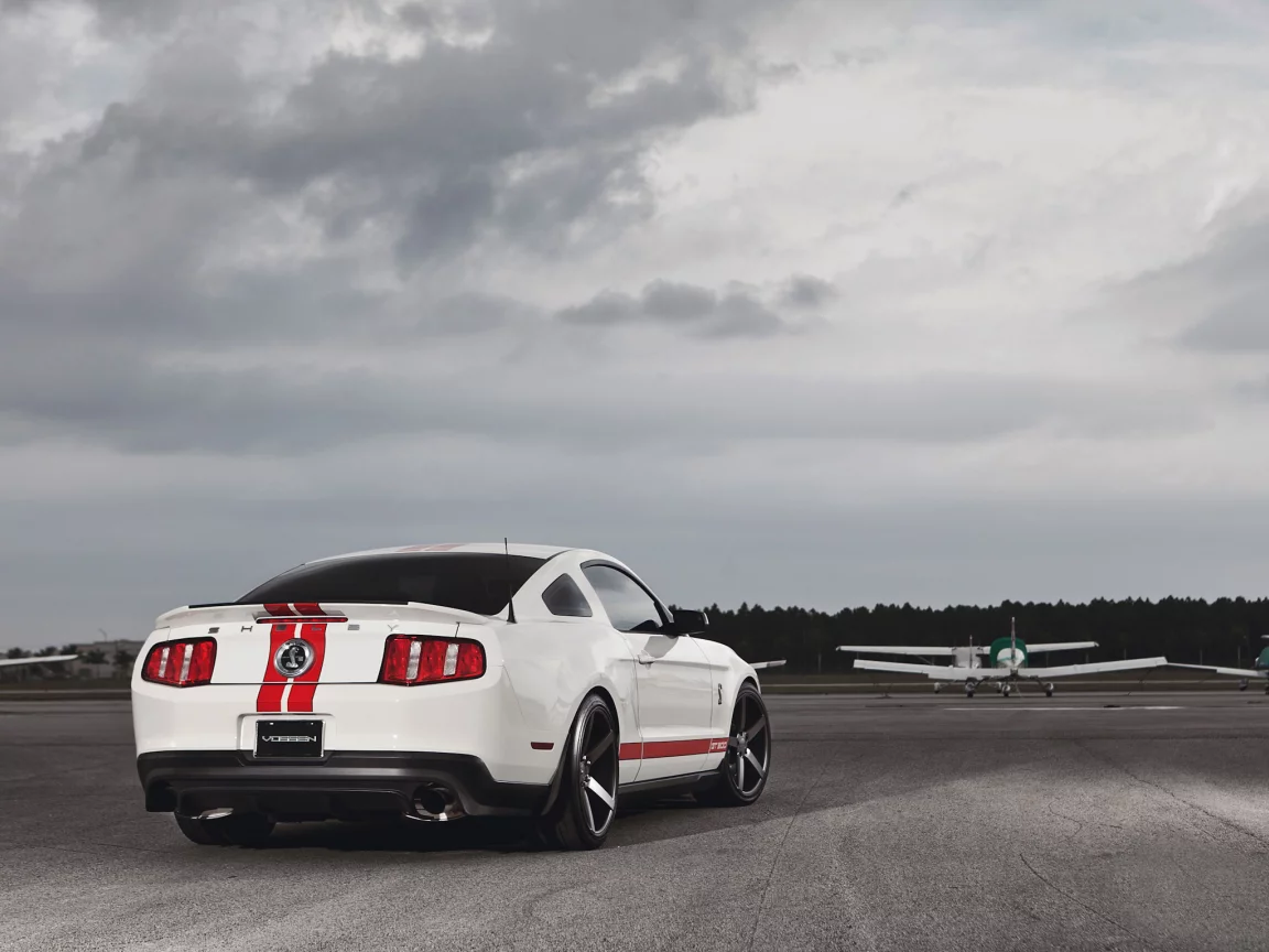 shelby, mustang, мустанг, форд, gt500, белый, muscle car, мускул кар, ford