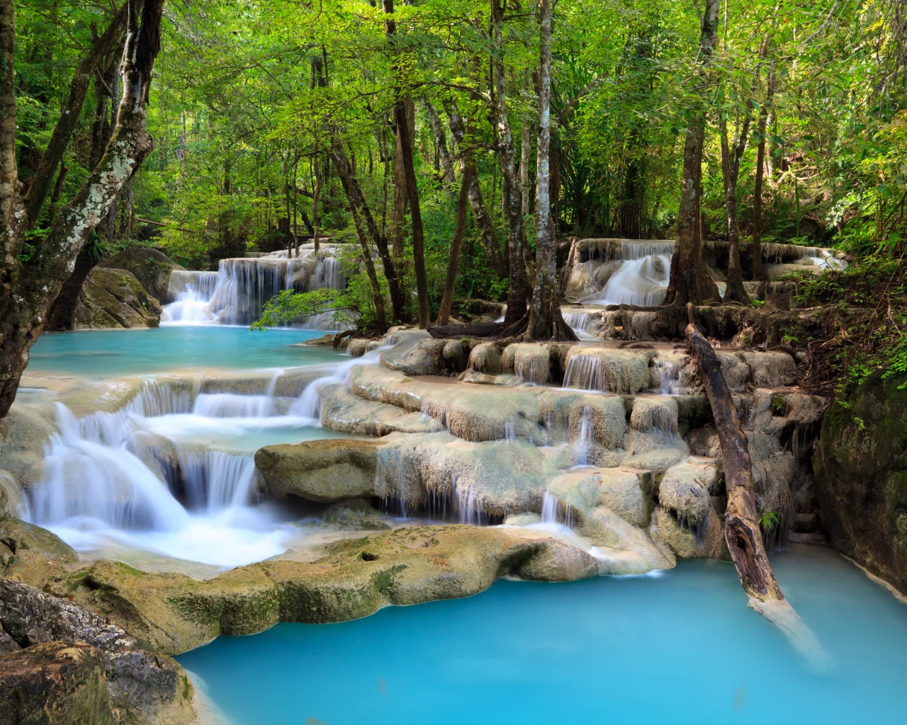 nature, , sky, sea, waterfall, leaves, beautiful, trees, deep forest, landscape, lake, clouds