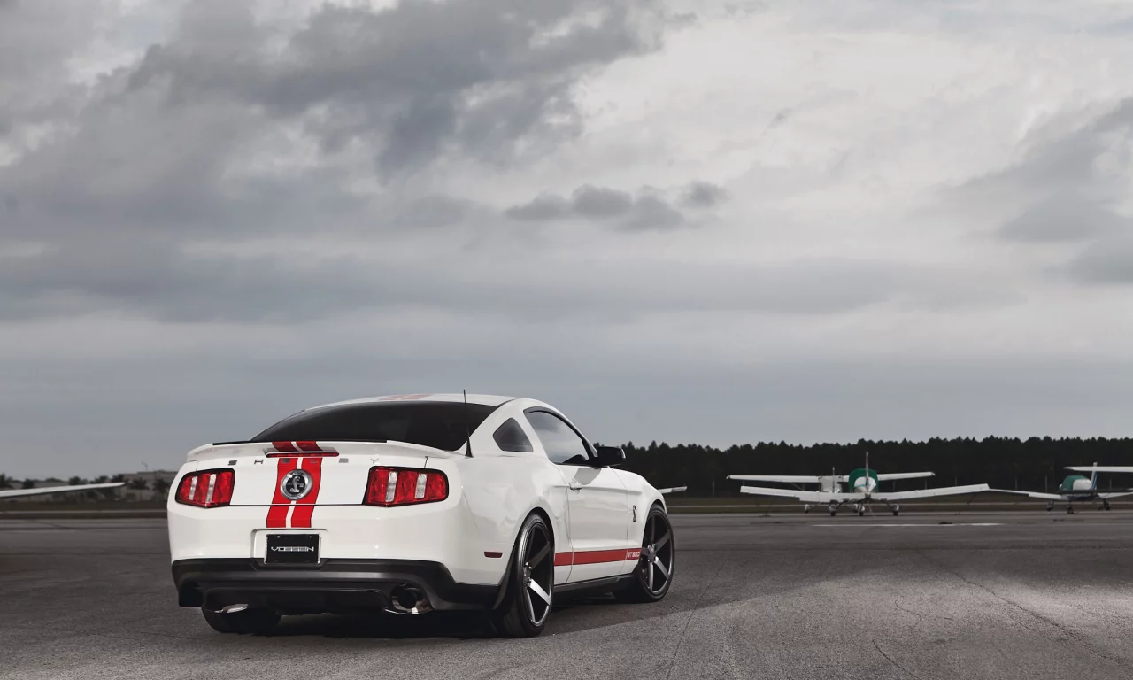 shelby, mustang, мустанг, форд, gt500, белый, muscle car, мускул кар, ford