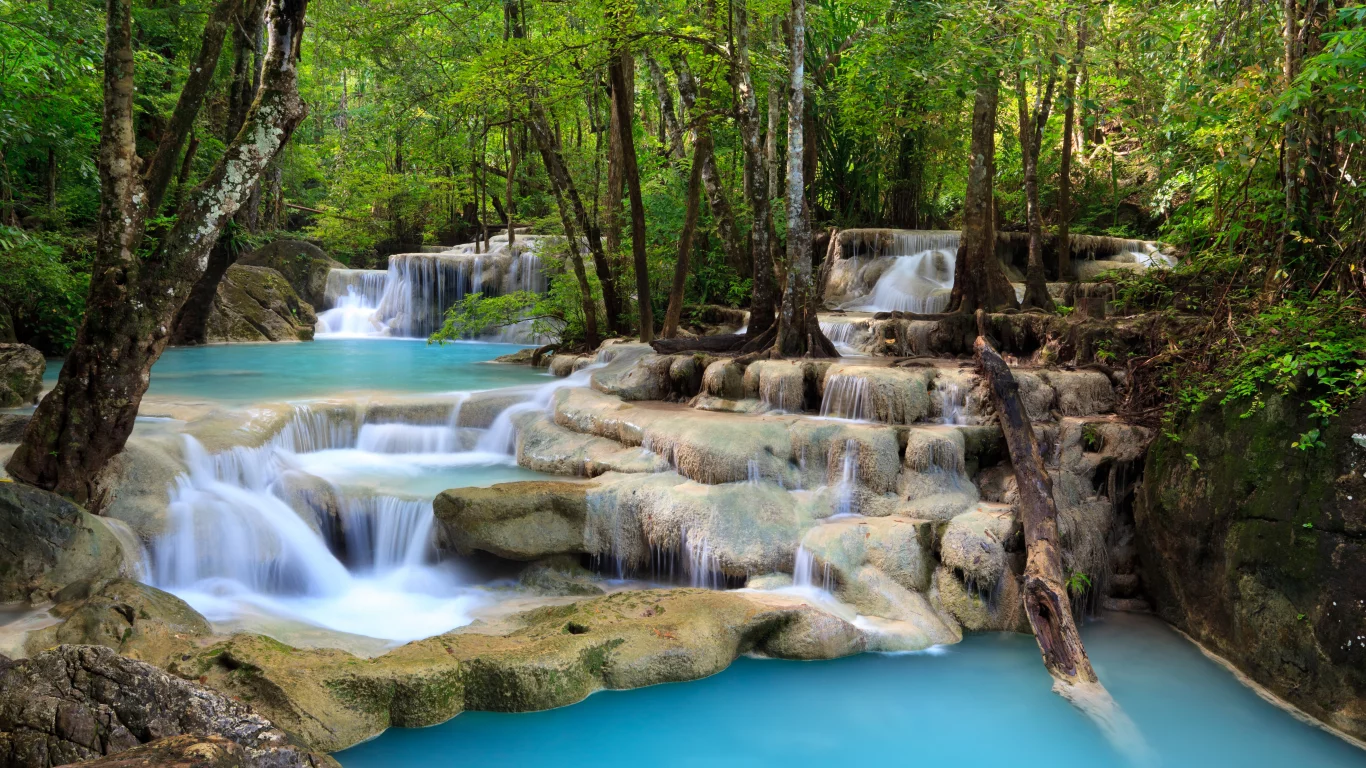 nature, , sky, sea, waterfall, leaves, beautiful, trees, deep forest, landscape, lake, clouds