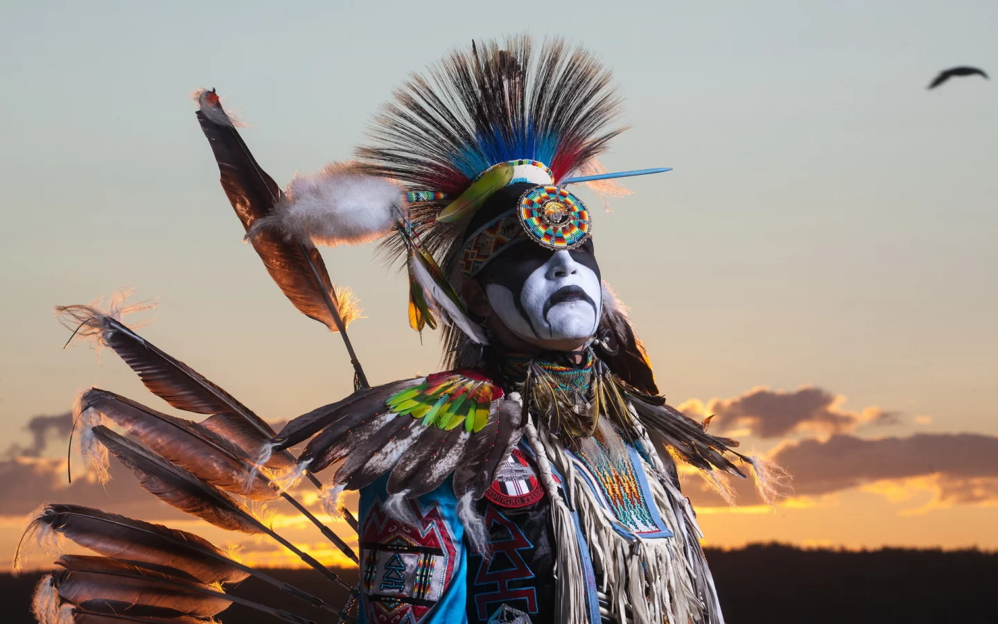 dancer, aboriginal, northwest territories, the freedom of flight