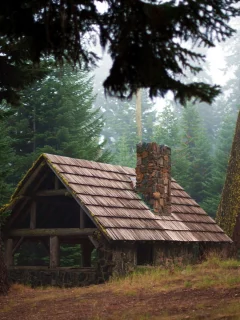 лес, природа, домик