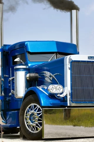 тягач, седельный, 359, 1986, peterbilt