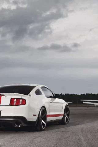 shelby, mustang, мустанг, форд, gt500, белый, muscle car, мускул кар, ford