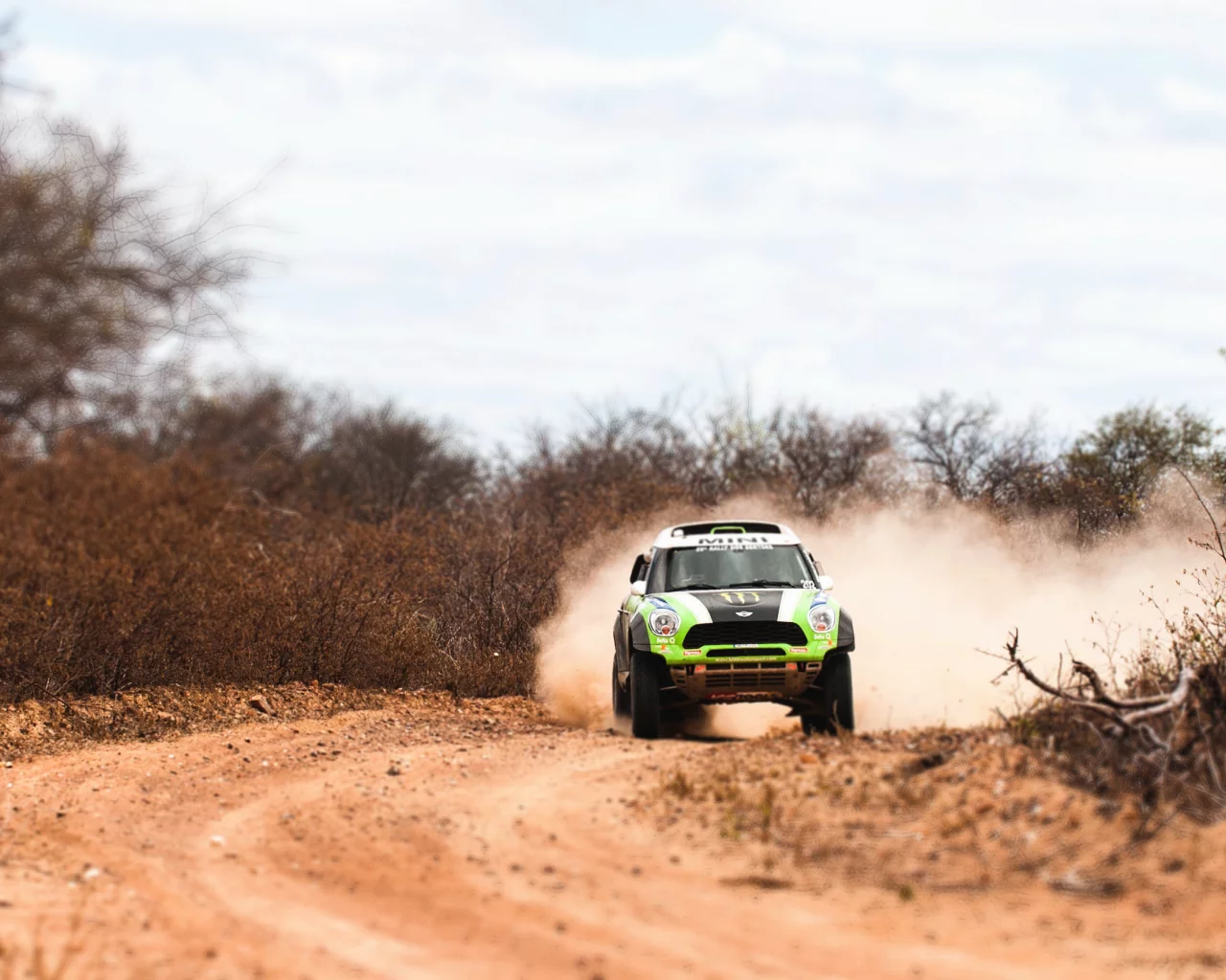 mini, зеленый, мини купер, dakar, авто, mini cooper, x-raid, rally
