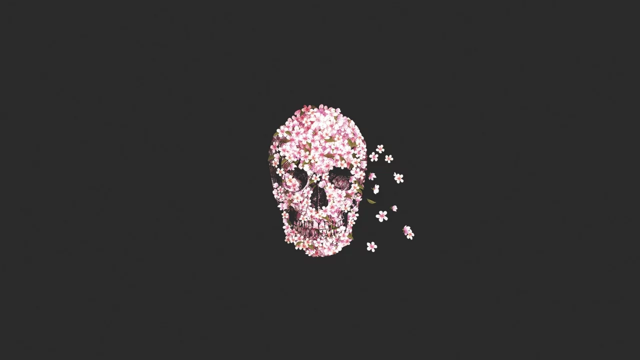 skull, череп, flower, цветы