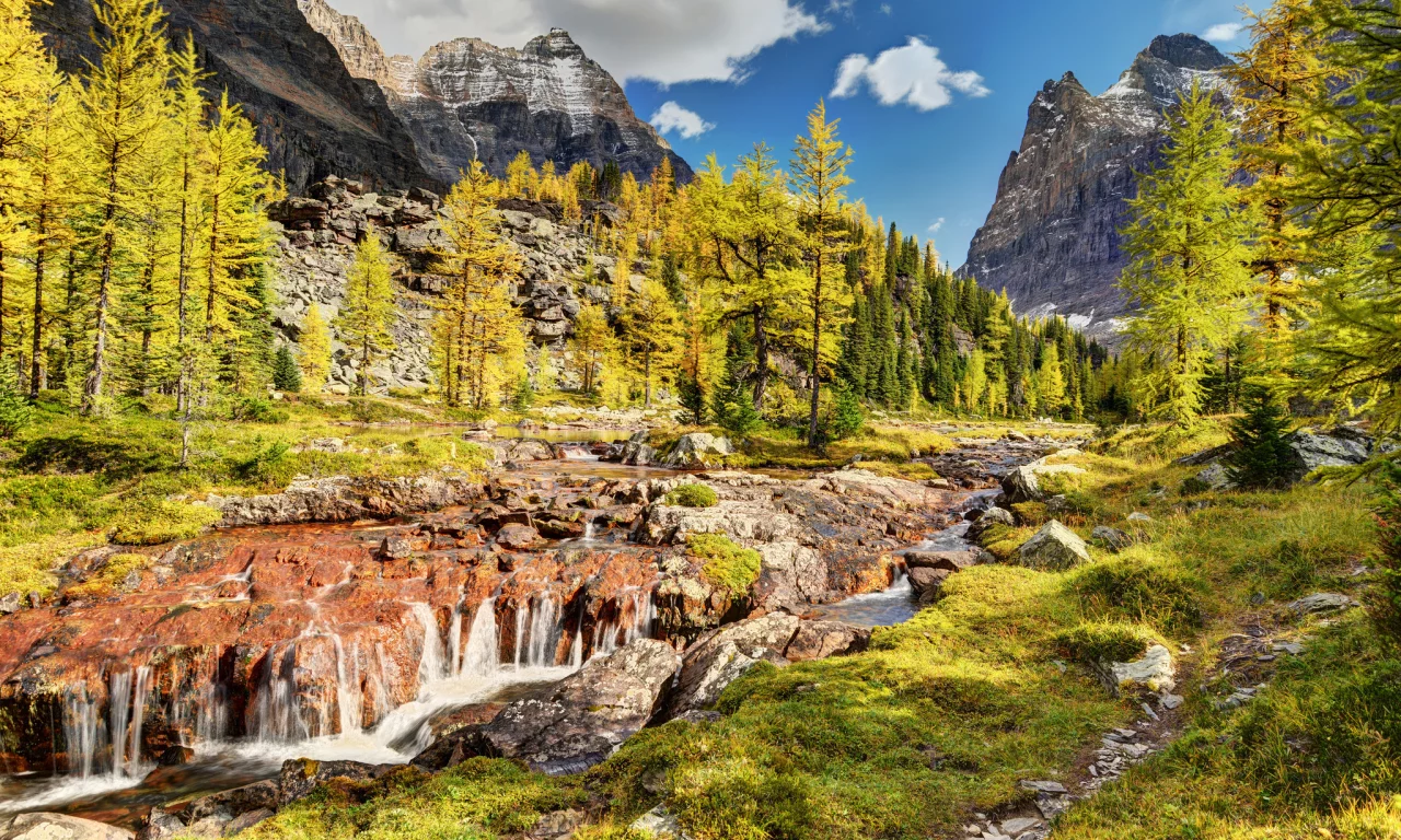горы, canada, yoho national park, деревья, канада, речка