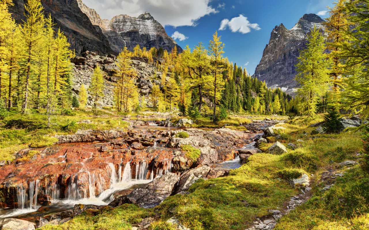 горы, canada, yoho national park, деревья, канада, речка