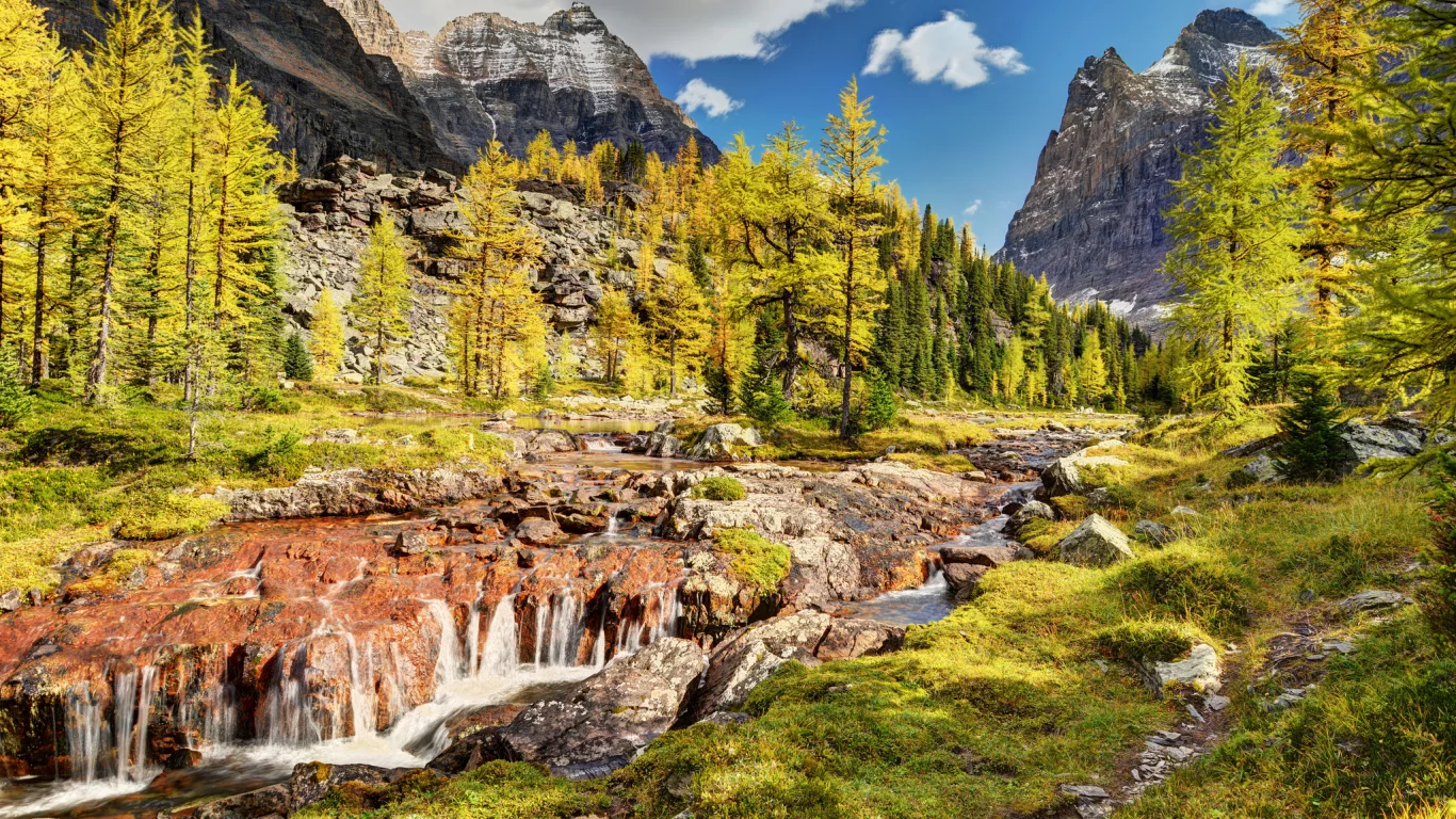 горы, canada, yoho national park, деревья, канада, речка
