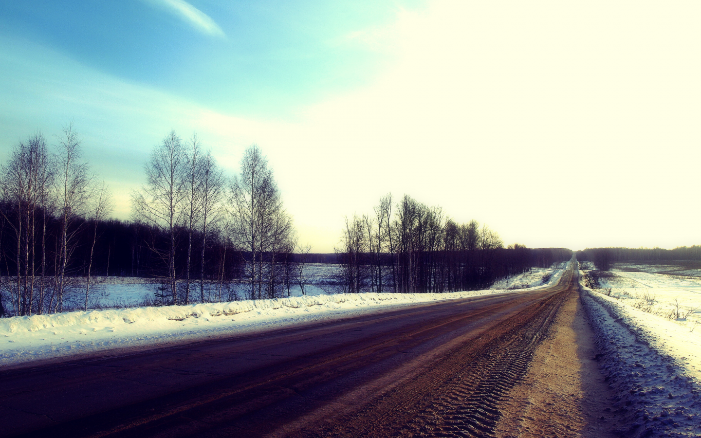 дорога, поле, лес, деревья, зима, самарская лука, кусты, небо, снег