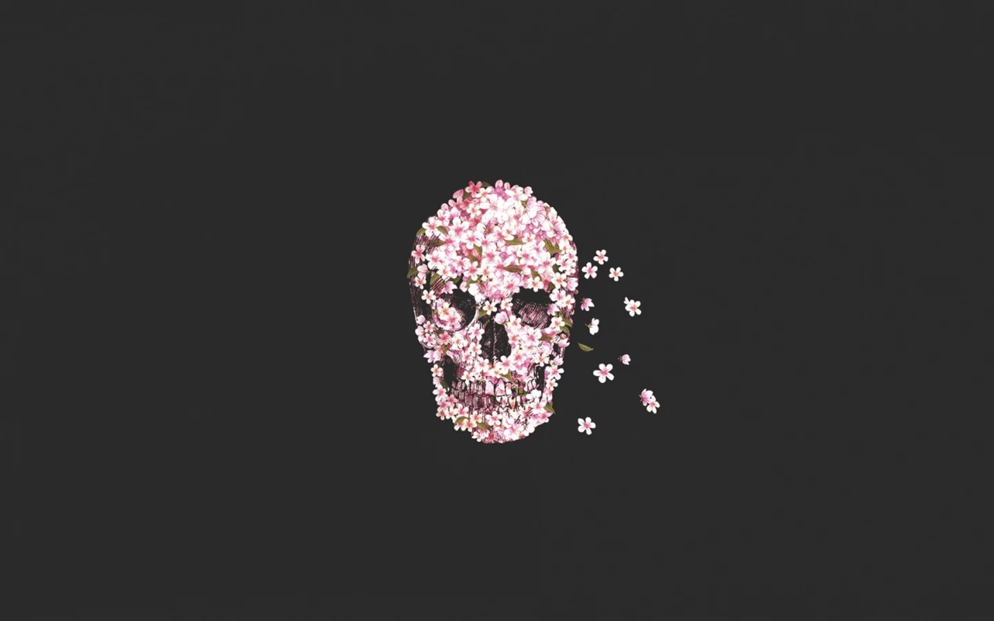 skull, череп, flower, цветы