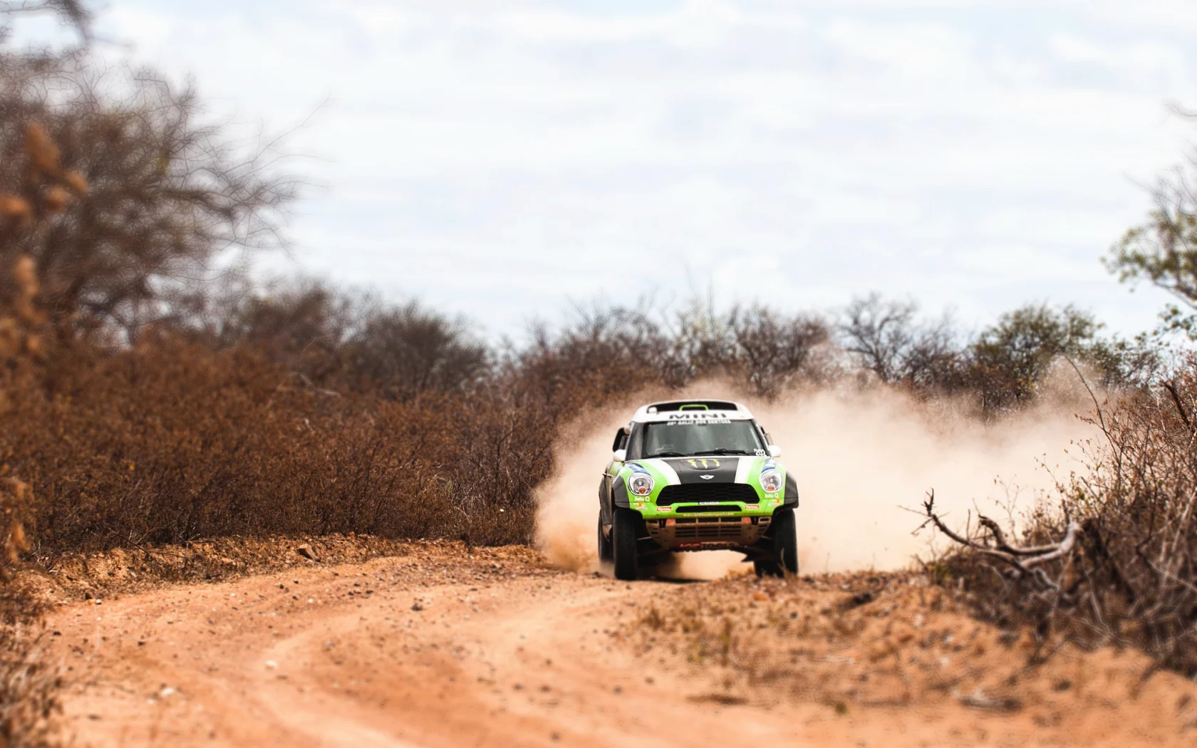 mini, зеленый, мини купер, dakar, авто, mini cooper, x-raid, rally
