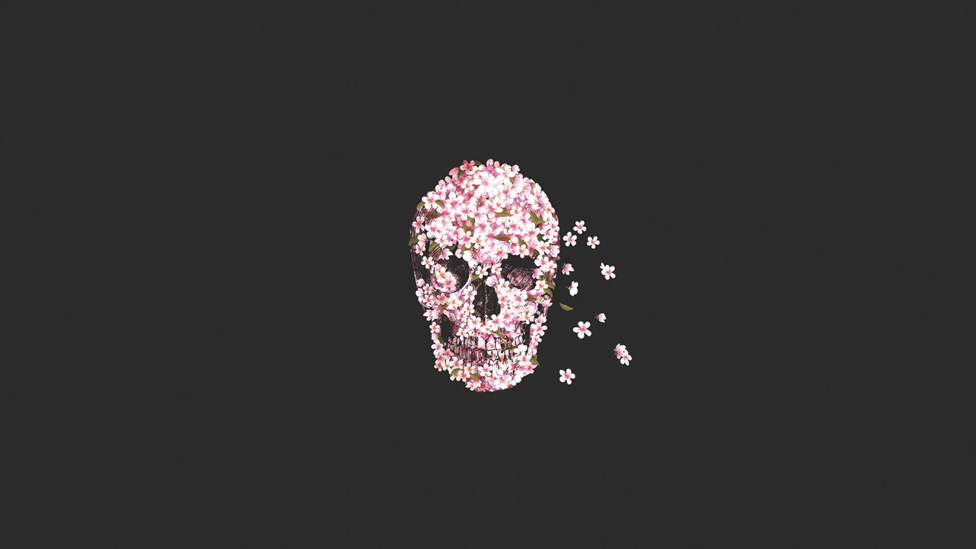 skull, череп, flower, цветы