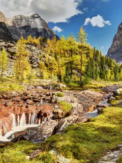 горы, canada, yoho national park, деревья, канада, речка