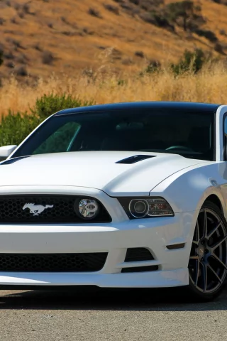 ford, mustang, 5.0, gt
