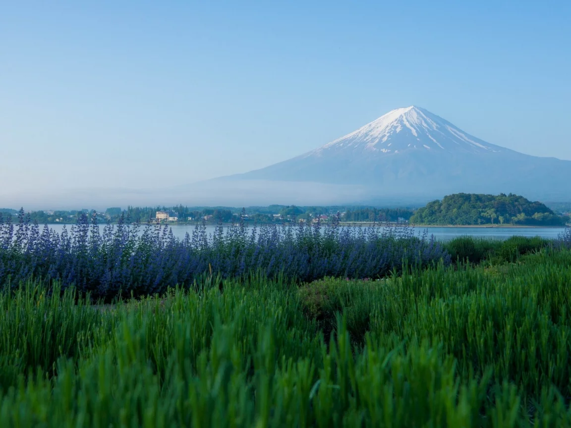 фудзияма, japan, озеро кавагути, lake kawaguchi, фудзи, mount fuji