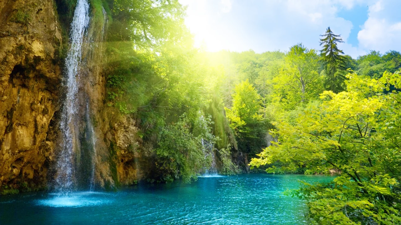 deep forest, lake, landscape, sea, nature, beautiful, waterfall, sunlight, sky, clouds, trees