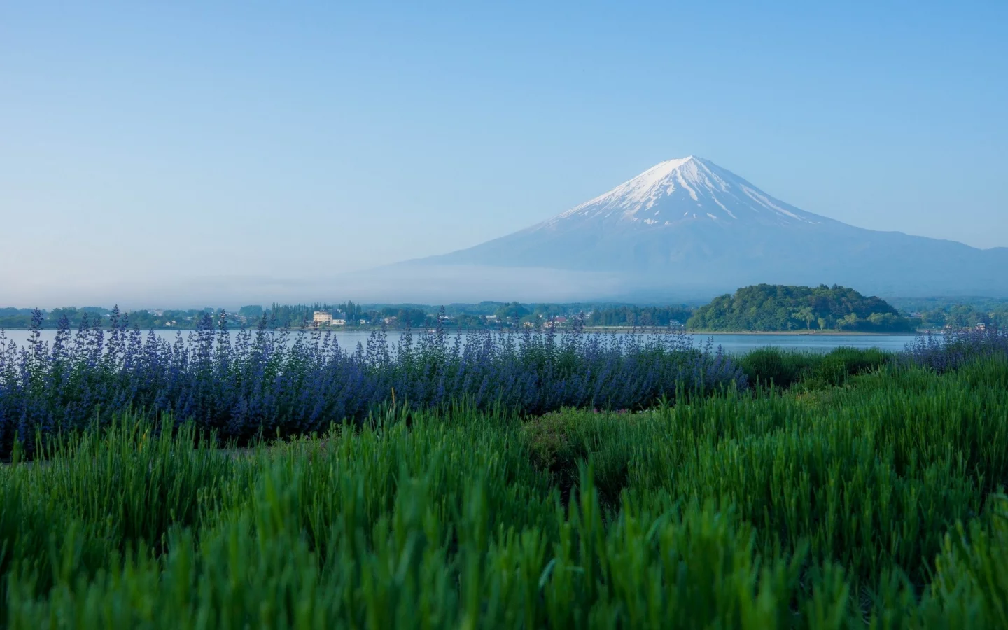 фудзияма, japan, озеро кавагути, lake kawaguchi, фудзи, mount fuji