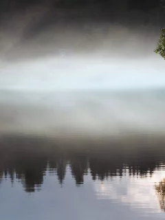 пейзаж, утро, дерево, озеро, туман, лодка