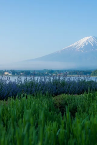 фудзияма, japan, озеро кавагути, lake kawaguchi, фудзи, mount fuji