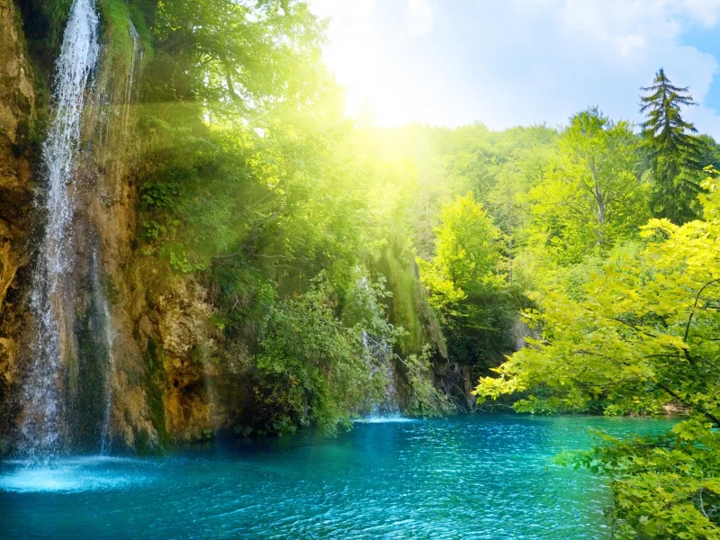 deep forest, lake, landscape, sea, nature, beautiful, waterfall, sunlight, sky, clouds, trees