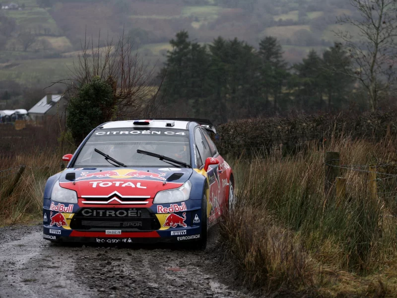 грязь, передок, rally, поворот, пасмурно, red bull, ds3, wrc, citroen