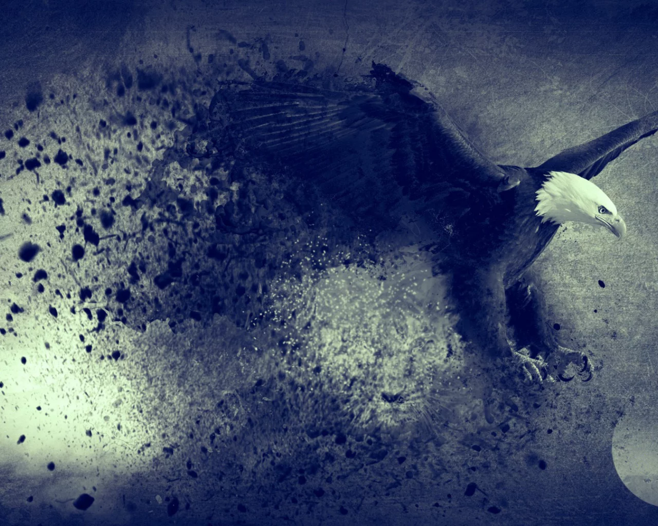 moon, abstract, eagle, bird, blue, freedom, flying, artwork, digital art