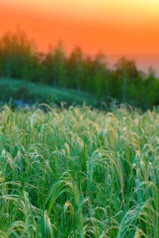 закат, пригорье