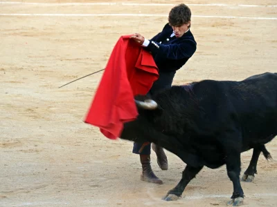 bull, festival, toros, spain, fiesta