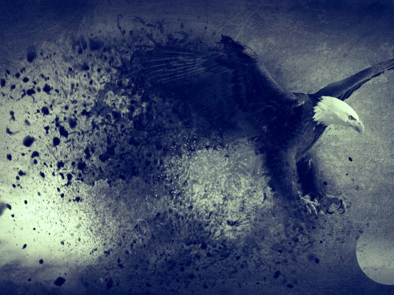 moon, abstract, eagle, bird, blue, freedom, flying, artwork, digital art